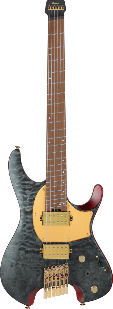 Ibanez MGFM10 Manual Gardner Signature Guitar - Obsidian Black Low Glo