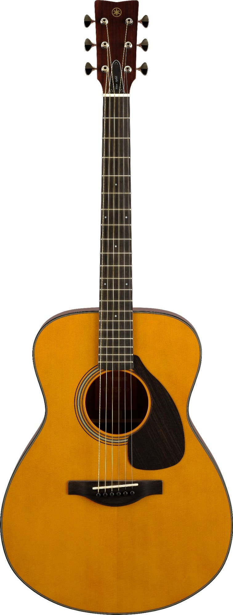 Concert Acoustic Guitars