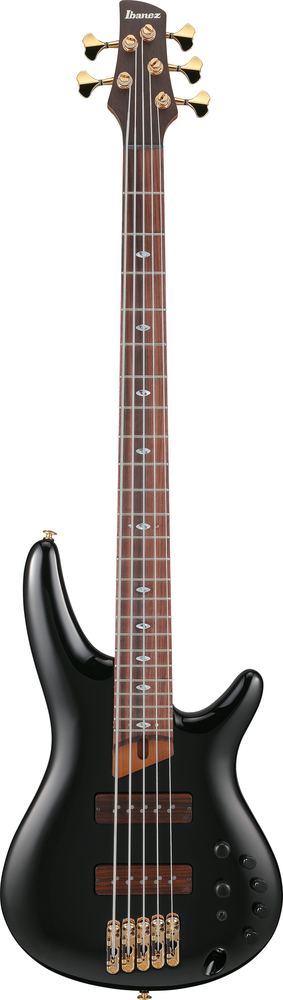 5-String Bass