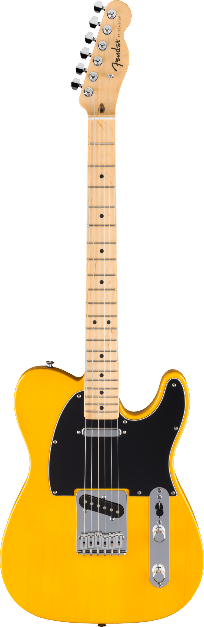Fender Standard Telecaster - Maple Fingerboard - Black Pickguard - Butterscotch Blonde
