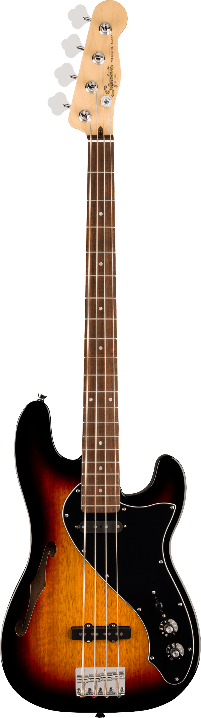 Squier Paranormal Precision Bass Thinline SJ - Laurel Fingerboard - Black Pickguard - 3-Color Sunburst