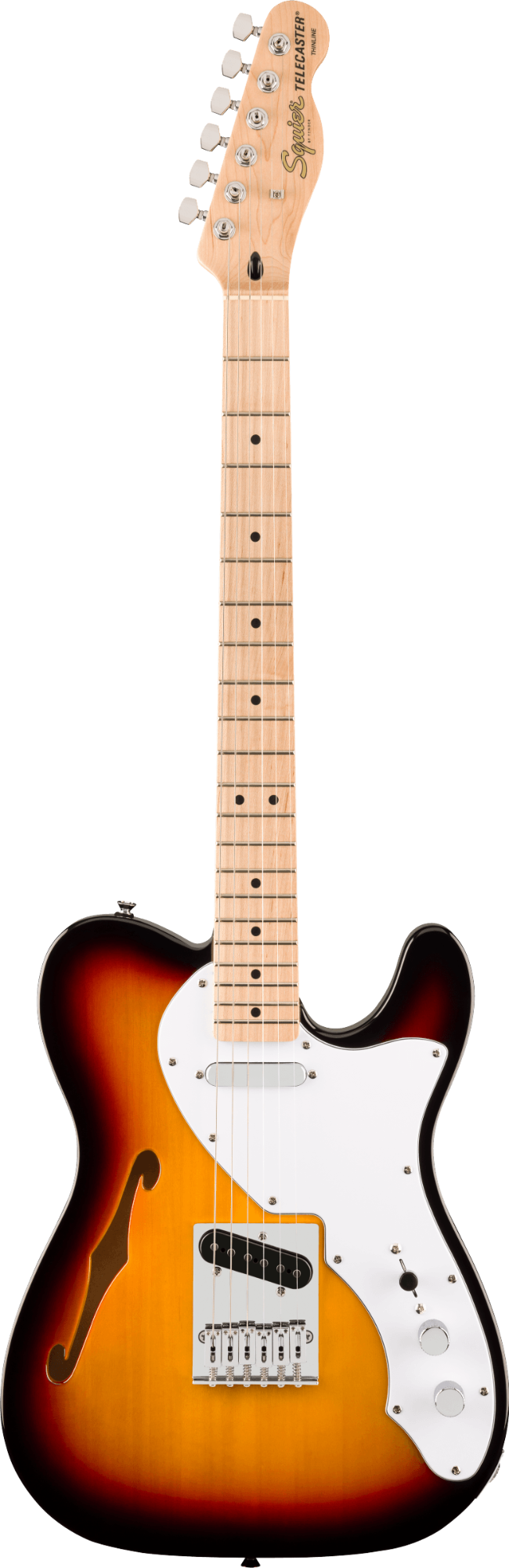Squier Affinity Series Telecaster Thinline - Maple Fingerboard - 3-Color Sunburst