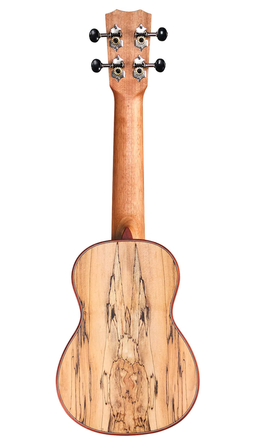 Cordoba 24S Soprano Ukulele - Spruce / Spalted Maple