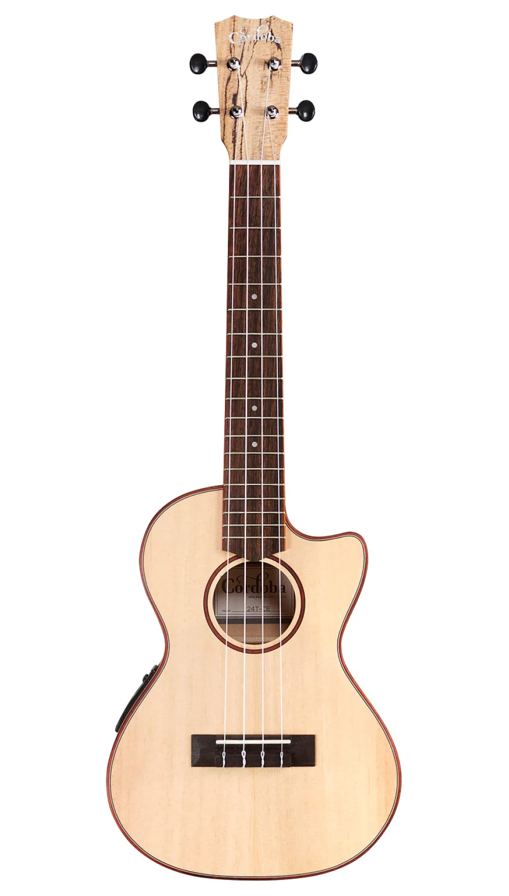 Cordoba 24T-CE Tenor Ukulele w/Pickup - Spruce / Spalted Maple
