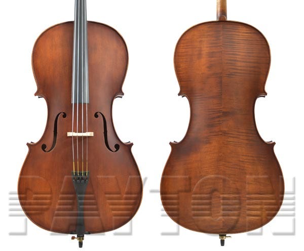 Enrico Custom Cello Outfit 3/4