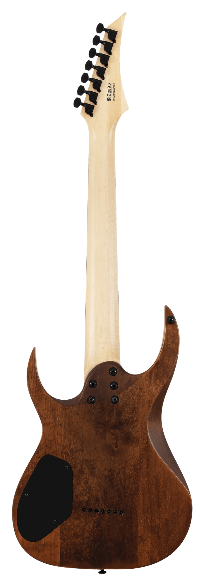 Solar AB2.7AN Electric Guitar - Aged Natural Matte