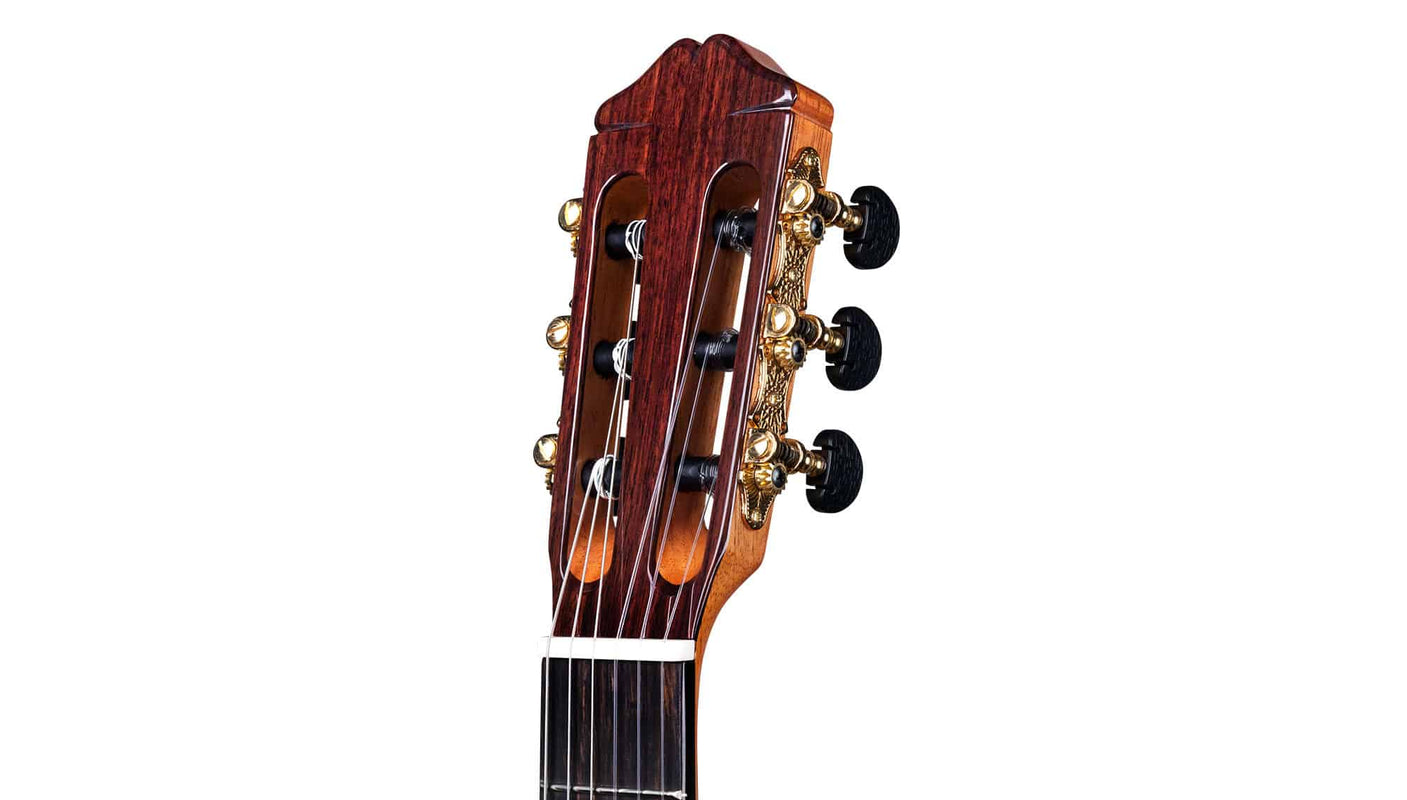 Cordoba 45CO CD Classical Nylon String Guitar - Solid Cedar / Cocobolo