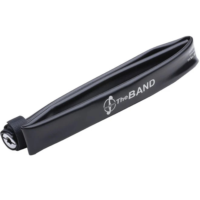 Band Violin Pickup