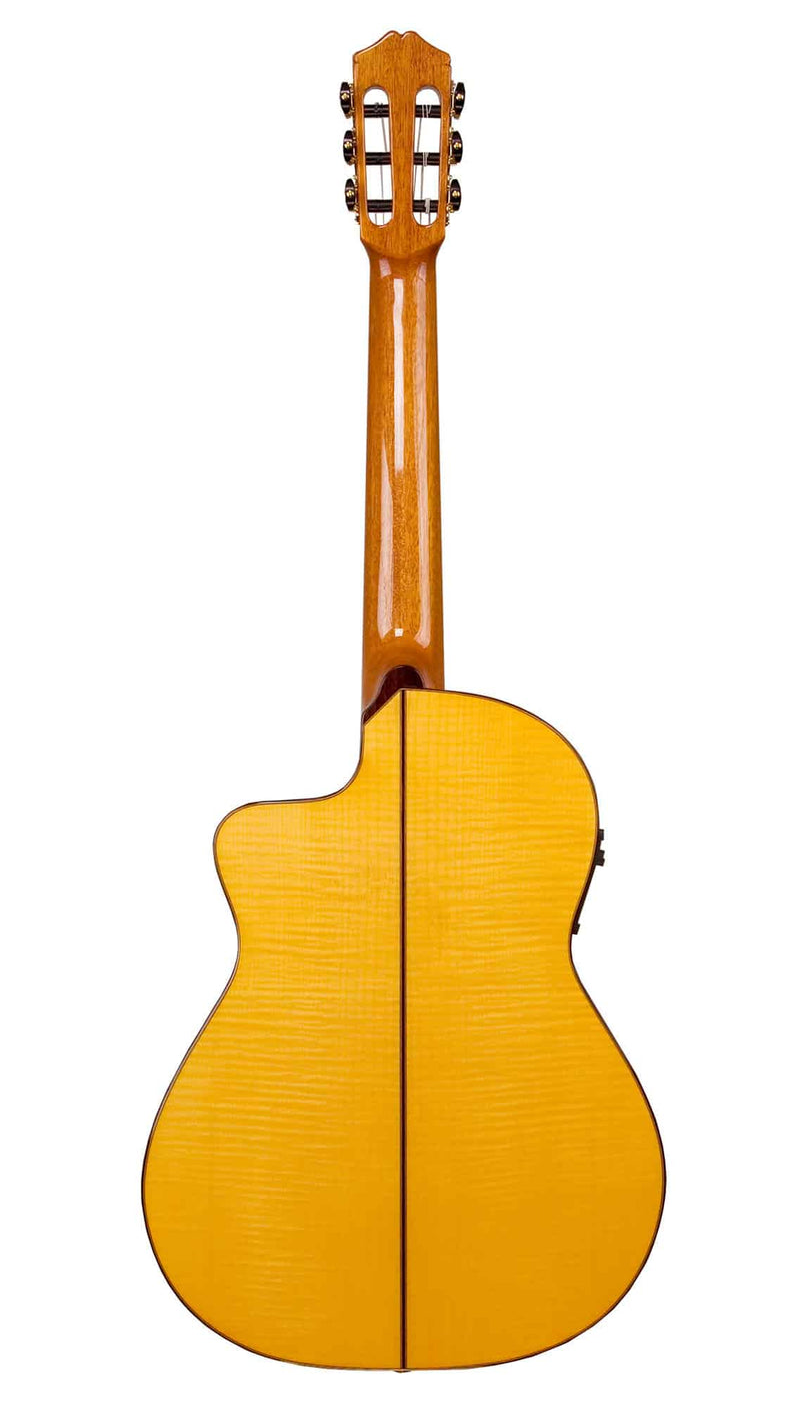 Cordoba 55FCE Thinbody - Spruce / Maple - Honey Amber