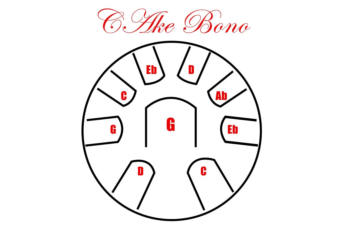 Pearl Percussion Awakening Tongue Drum - C AKE Bono