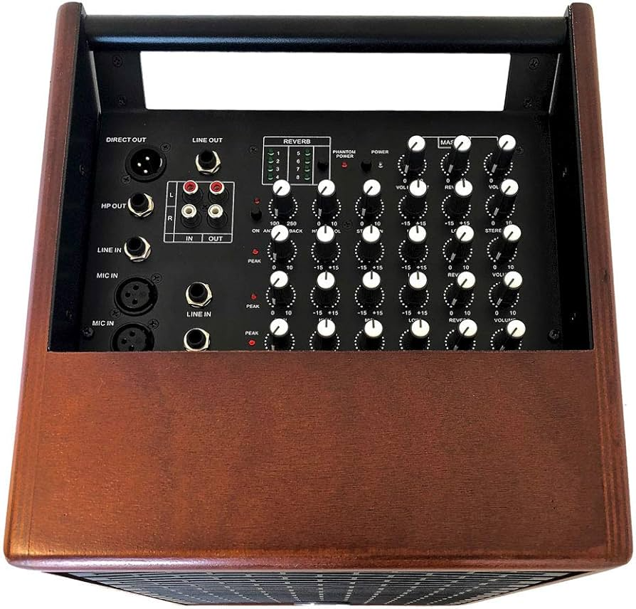 Prodipe Natural 6 Acoustic Instrument Amplifier w/ 4-inputs and Effects + Bag - Cherry Wood