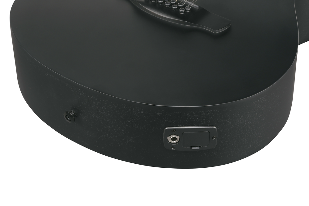 Ibanez AEG1221 12-String Acoustic Guitar - Black Out