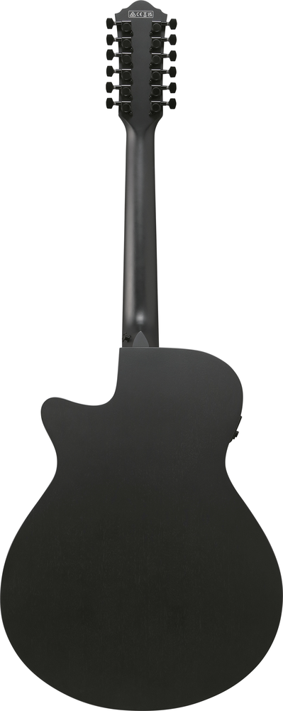 Ibanez AEG1221 12-String Acoustic Guitar - Black Out