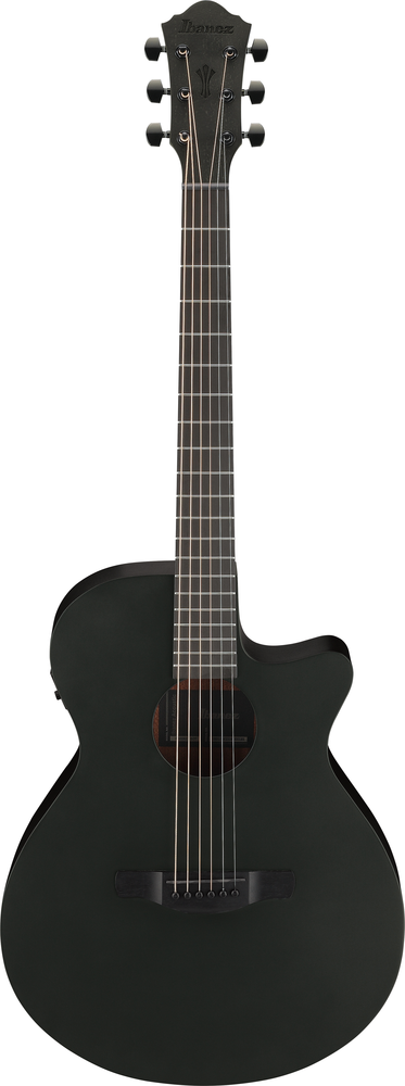Ibanez AEG621 Acoustic Guitar - Black Out