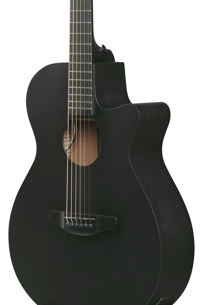 Ibanez AEG621 Acoustic Guitar - Black Out