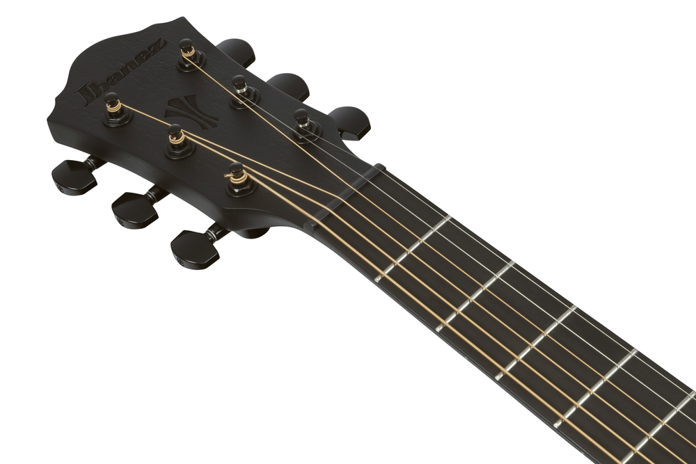 Ibanez AEG621 Acoustic Guitar - Black Out