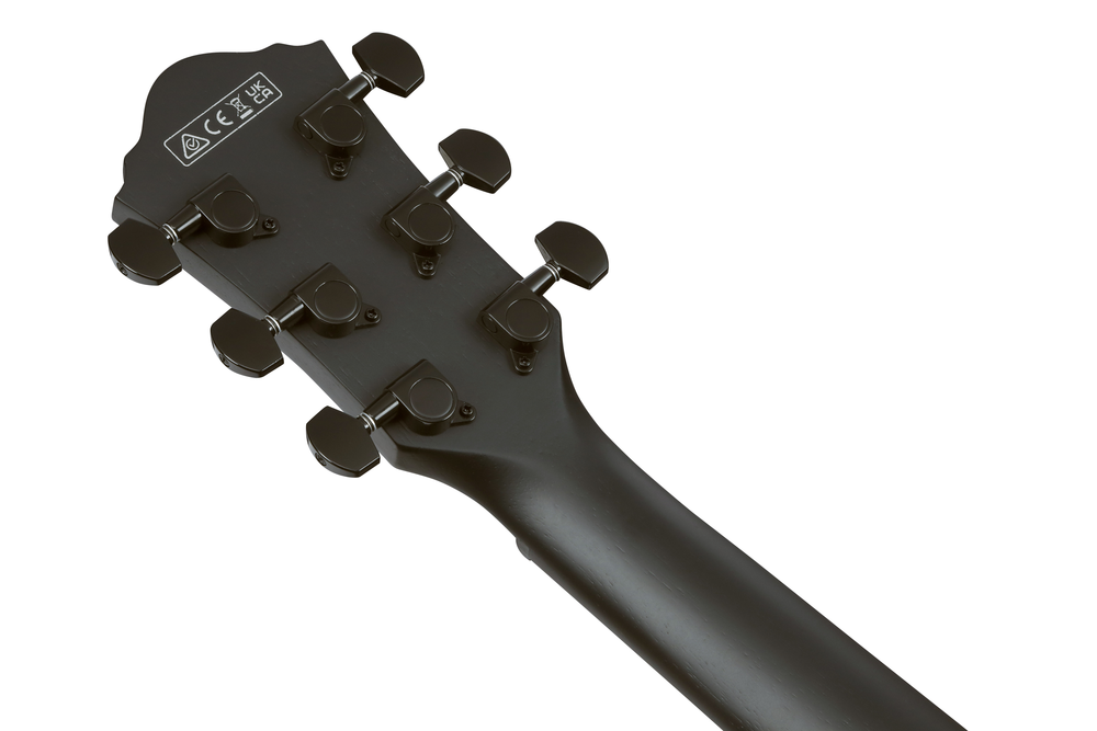 Ibanez AEG621 Acoustic Guitar - Black Out