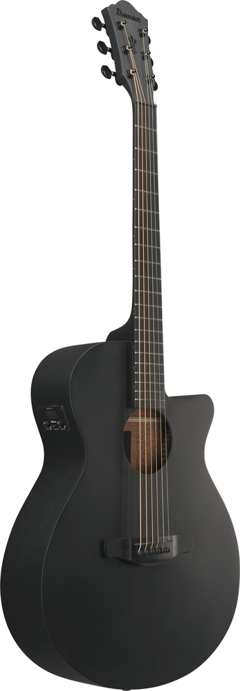 Ibanez AEG621 Acoustic Guitar - Black Out