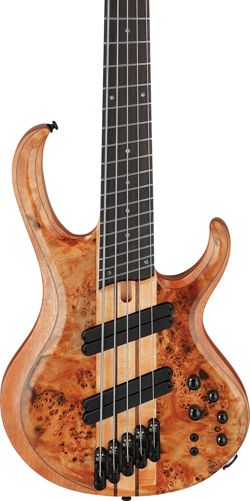 Ibanez BTB805MS Electric Bass - Florid Natural Low Gloss