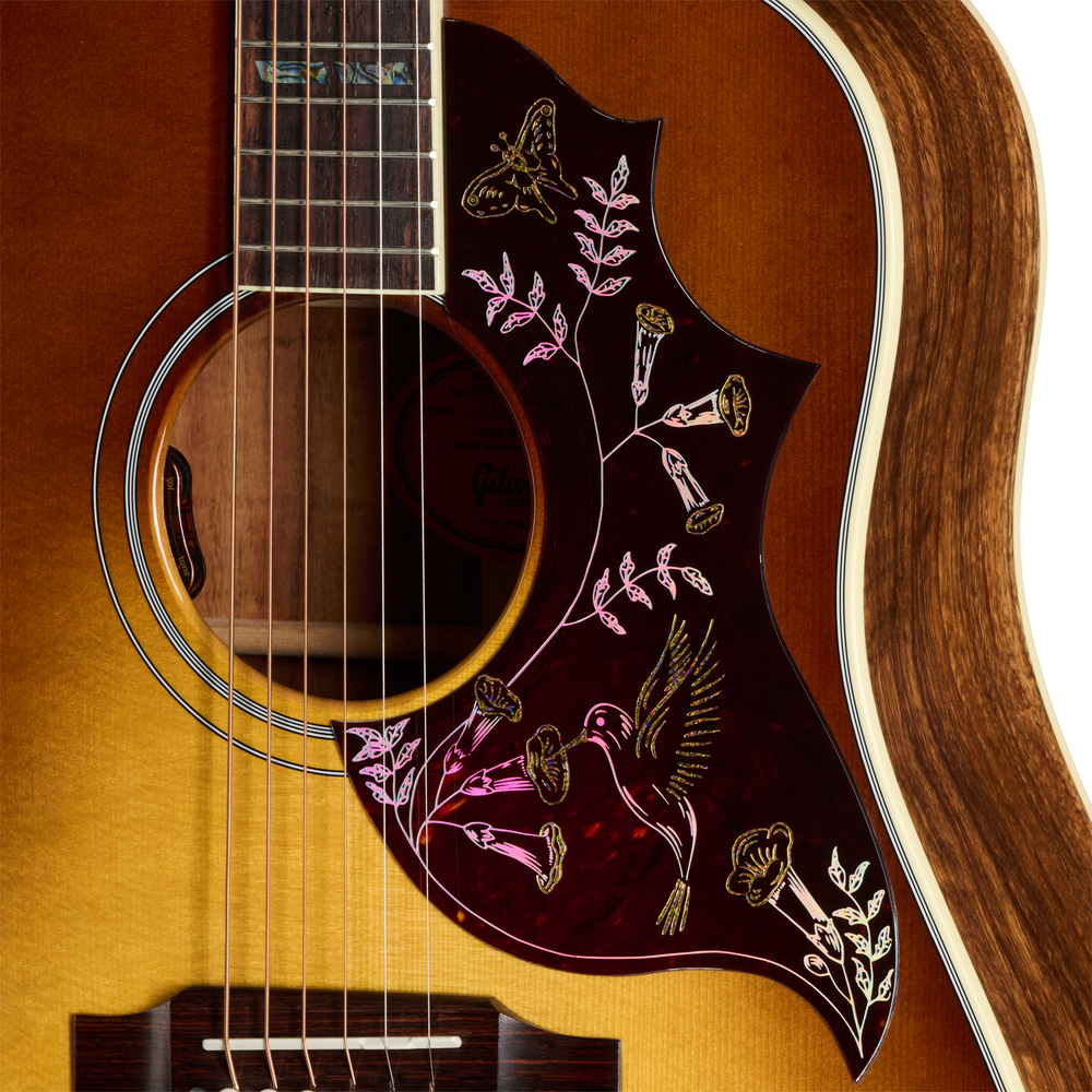Gibson Hummingbird Elegant Koa - Honey Burst