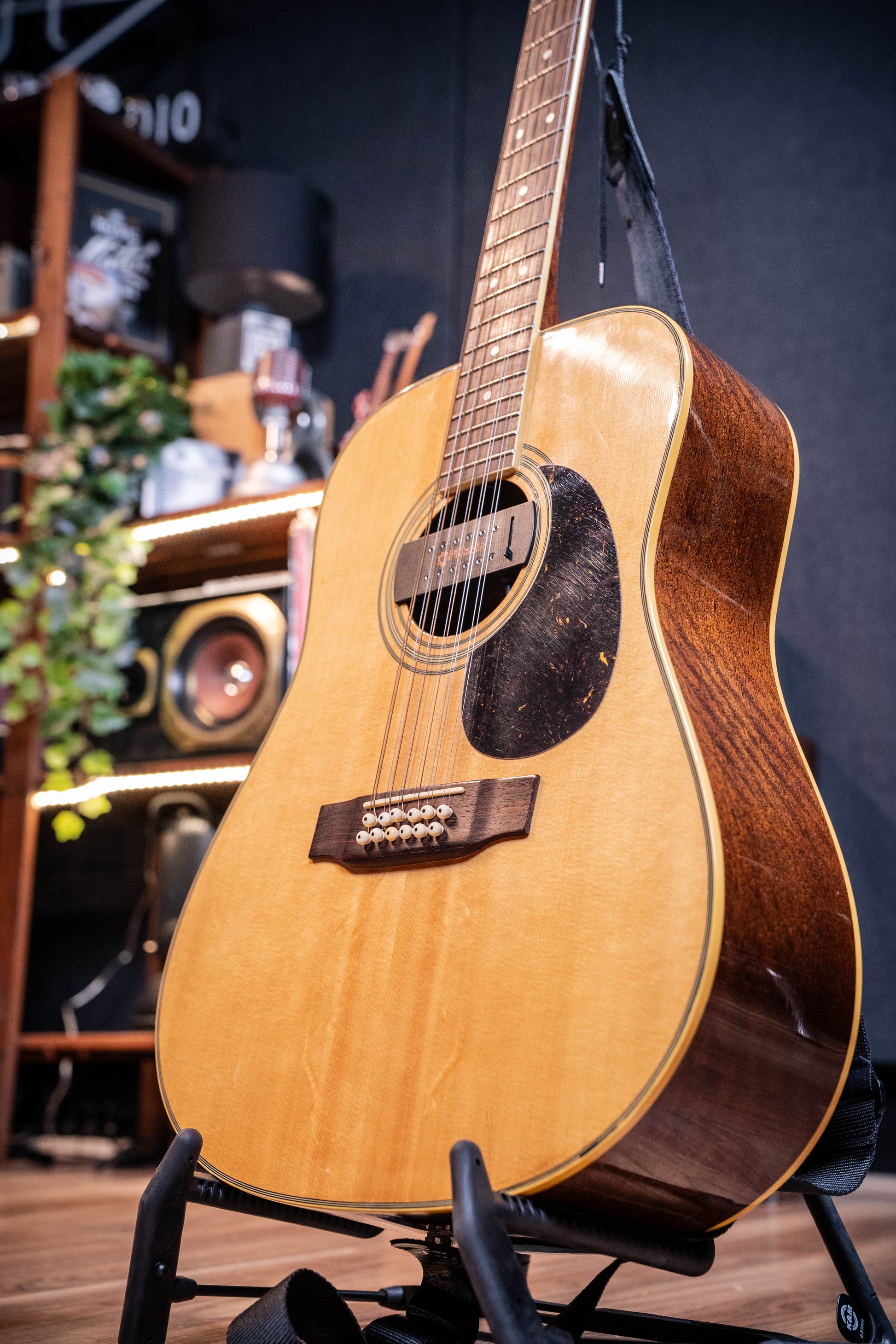 Citation II 12-String Acoustic w/Case - Pre-Owned