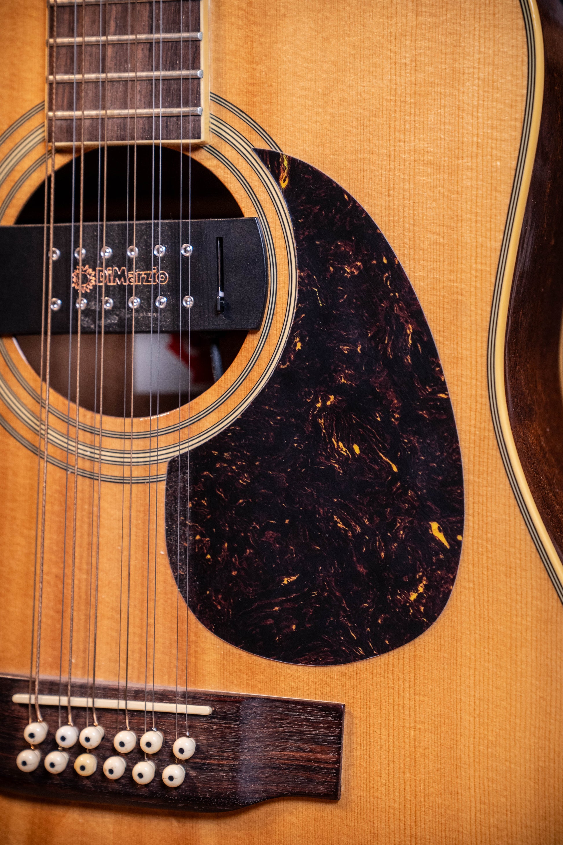 Citation II 12-String Acoustic w/Case - Pre-Owned