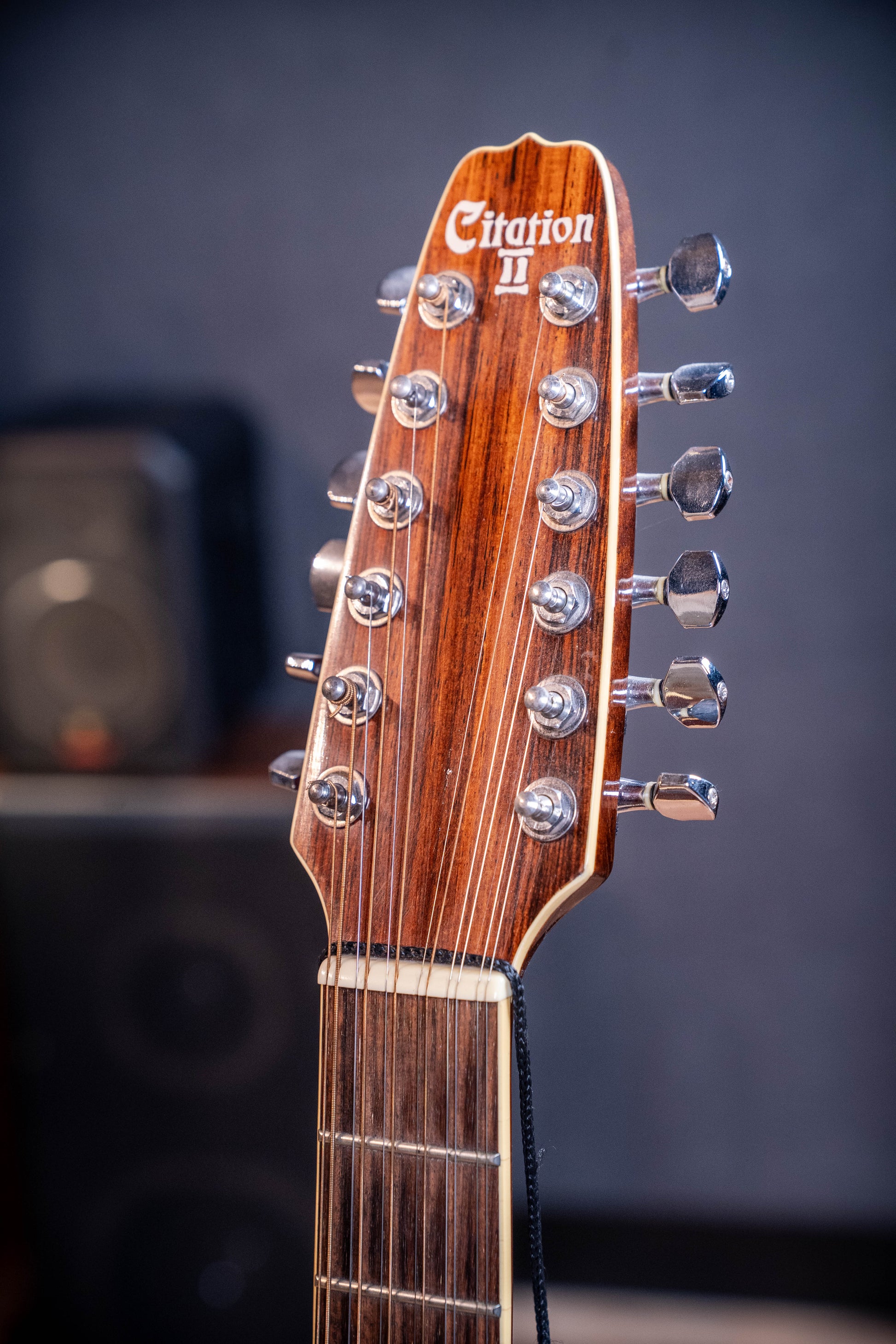 Citation II 12-String Acoustic w/Case - Pre-Owned