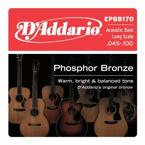 D'Addario Acoustic Bass String Set - Long Scale 45-100 (EPBB170)