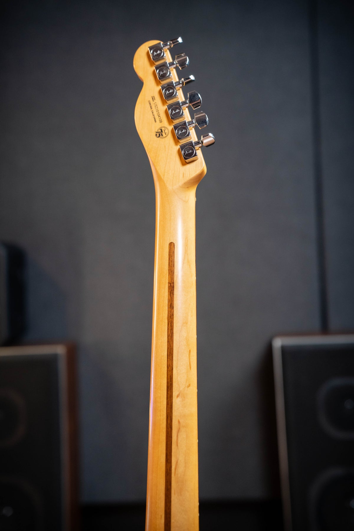 Fender American Professional II Telecaster - Mercury RW - Pre-Owned