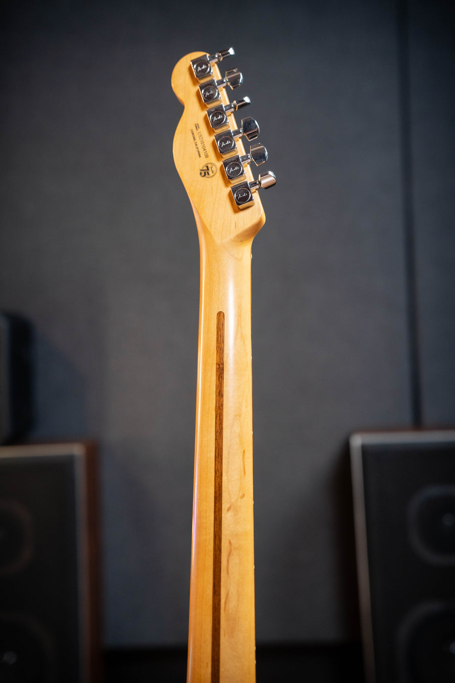 Fender American Professional II Telecaster - Mercury RW - Pre-Owned