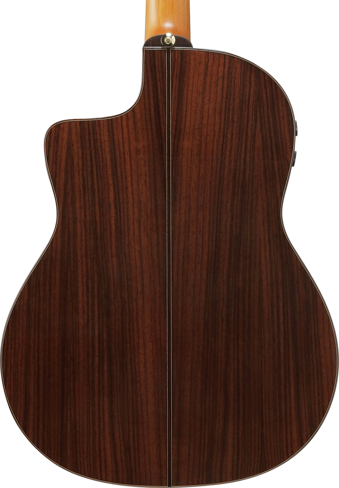Ibanez GA380CE Nylon String Guitar -  Natural High Gloss