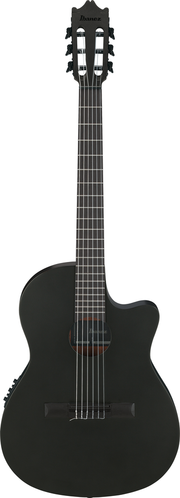 Ibanez GA621 Acoustic Guitar - Black Out