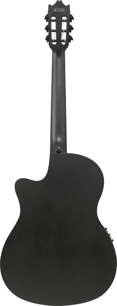 Ibanez GA621 Acoustic Guitar - Black Out