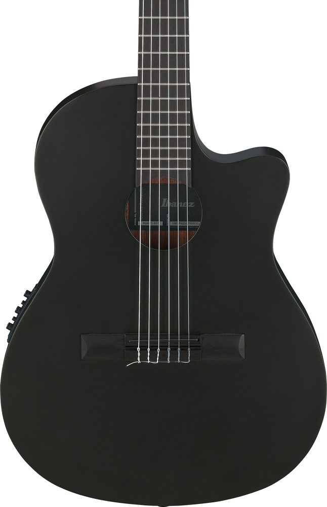 Ibanez GA621 Acoustic Guitar - Black Out