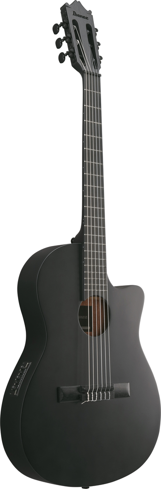 Ibanez GA621 Acoustic Guitar - Black Out