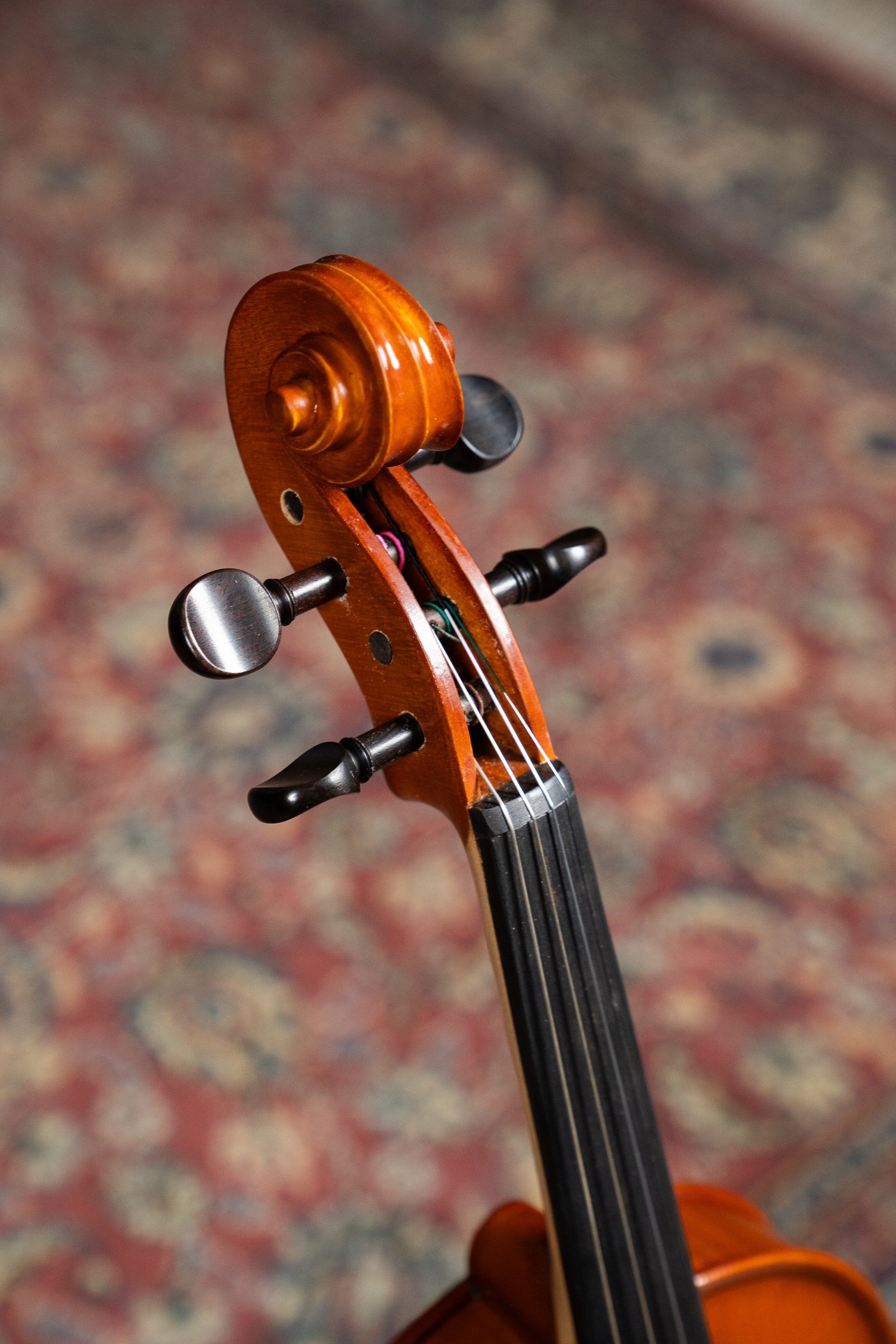 GLIGA III VIOLIN 4/4 OUTFIT SET UP WITH TONICA STRINGS