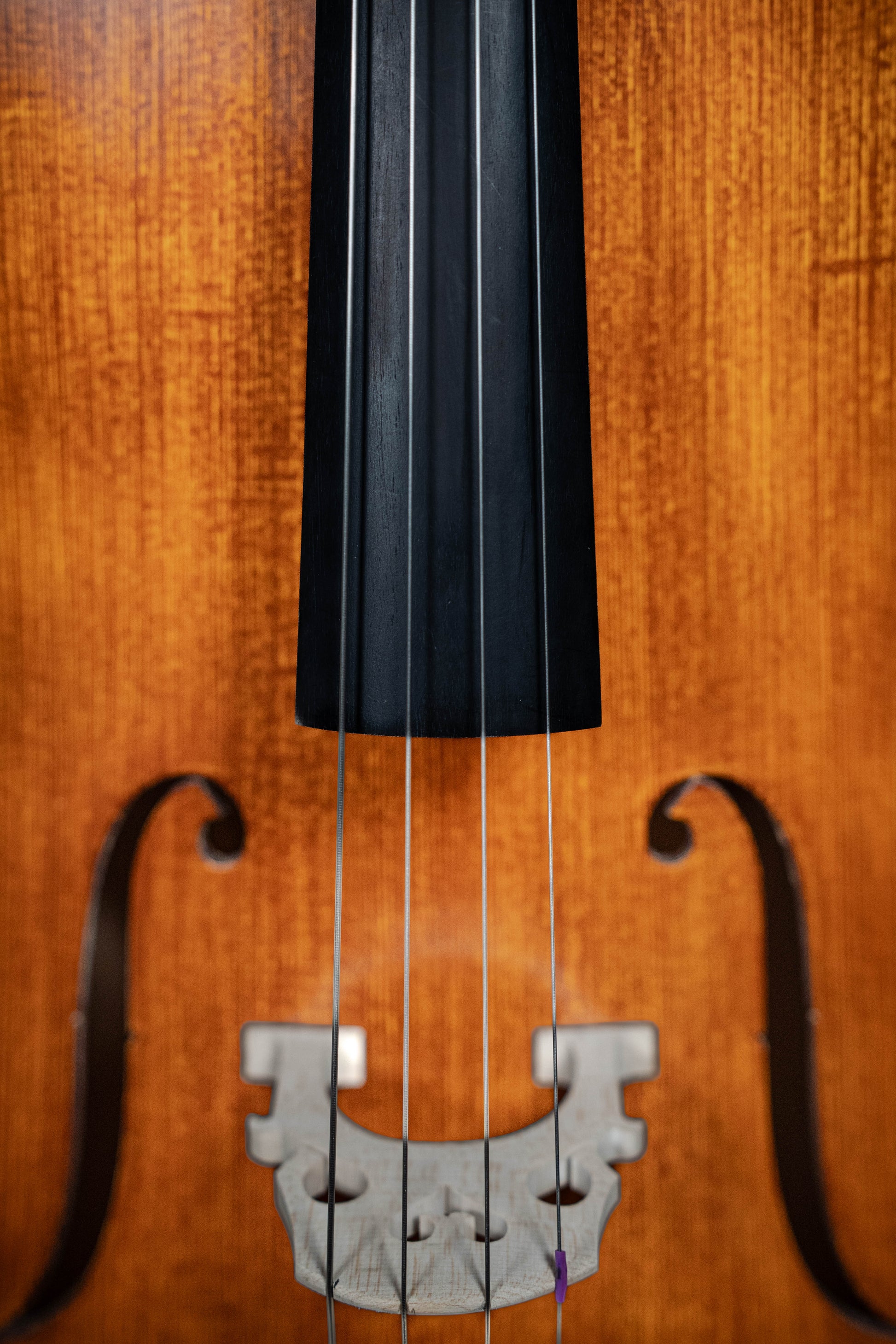 GLIGA VASILE ADVANCED CELLO 4/4 INSTRUMENT ONLY INCLUDES PROFESSIONAL SET UP WITH OPAL GOLD STRINGS