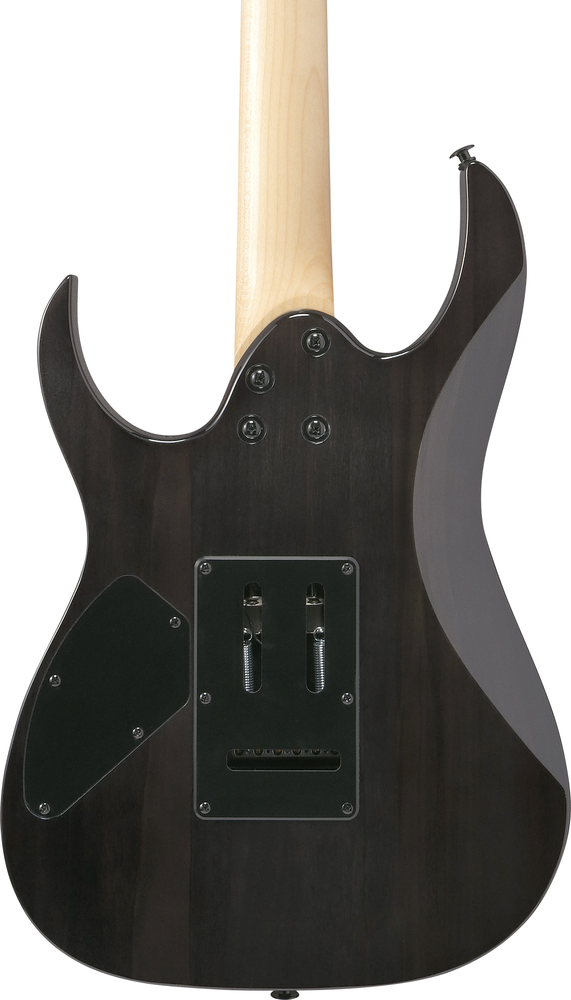 Ibanez GRG120QASP Electric Guitar - Black Gradation