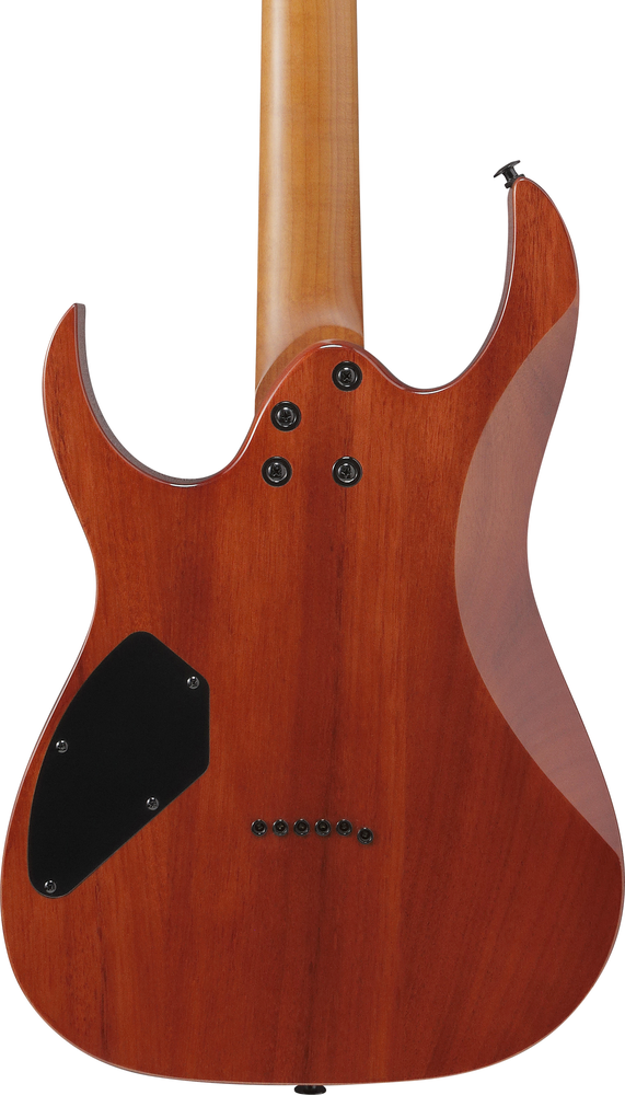 Ibanez GRGR221FA Electric Guitar - Transparent Indigo Black