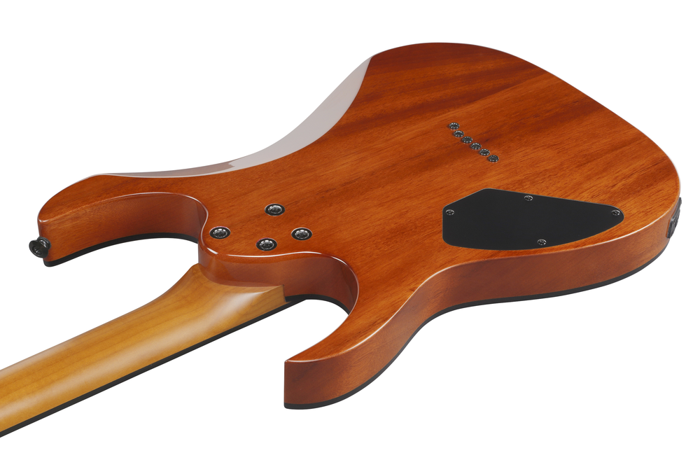 Ibanez GRGR221FA Electric Guitar - Transparent Indigo Black