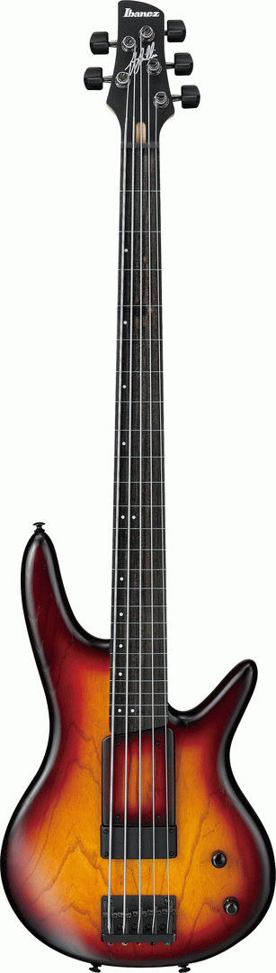 Ibanez GWB205TQF Gary Willis Signature 5-String Fretless Bass - Tequila Sunrise Flat