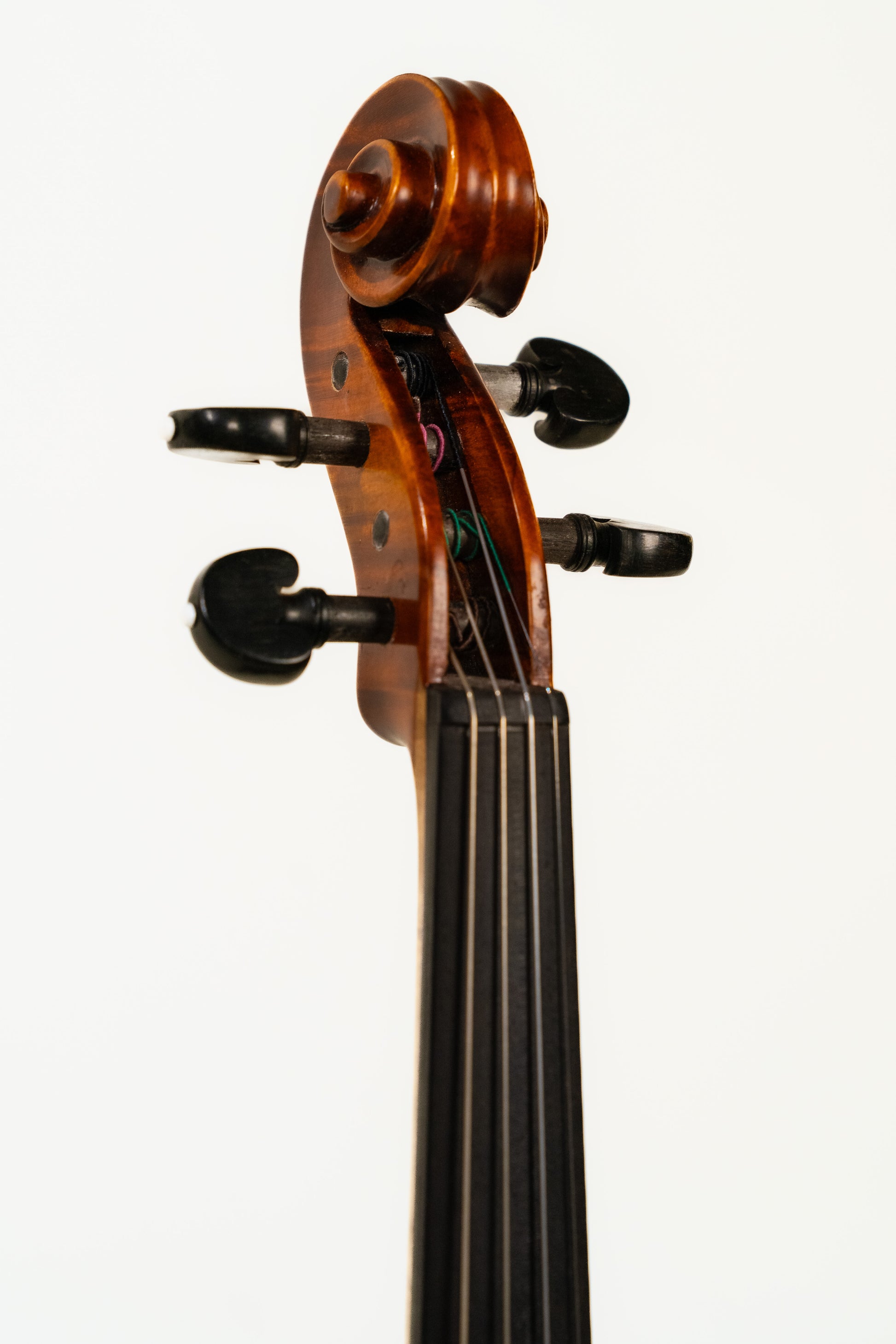 Gliga Maestro Strad 4/4 Violin Only w/Evah Pirazza Strings - Pre-Owned