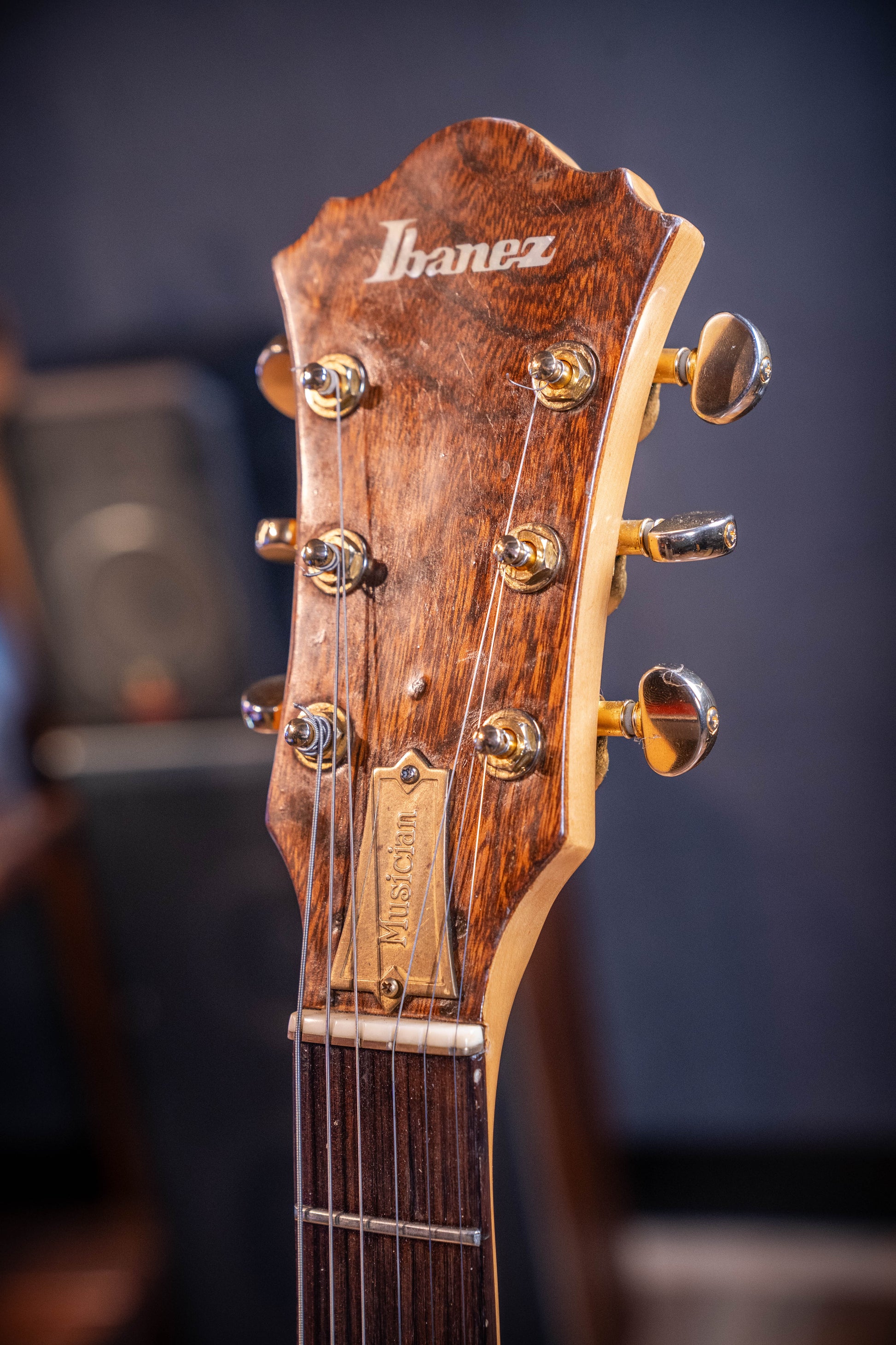 Ibanez Musician MC200 w/Case - Pre-Owned