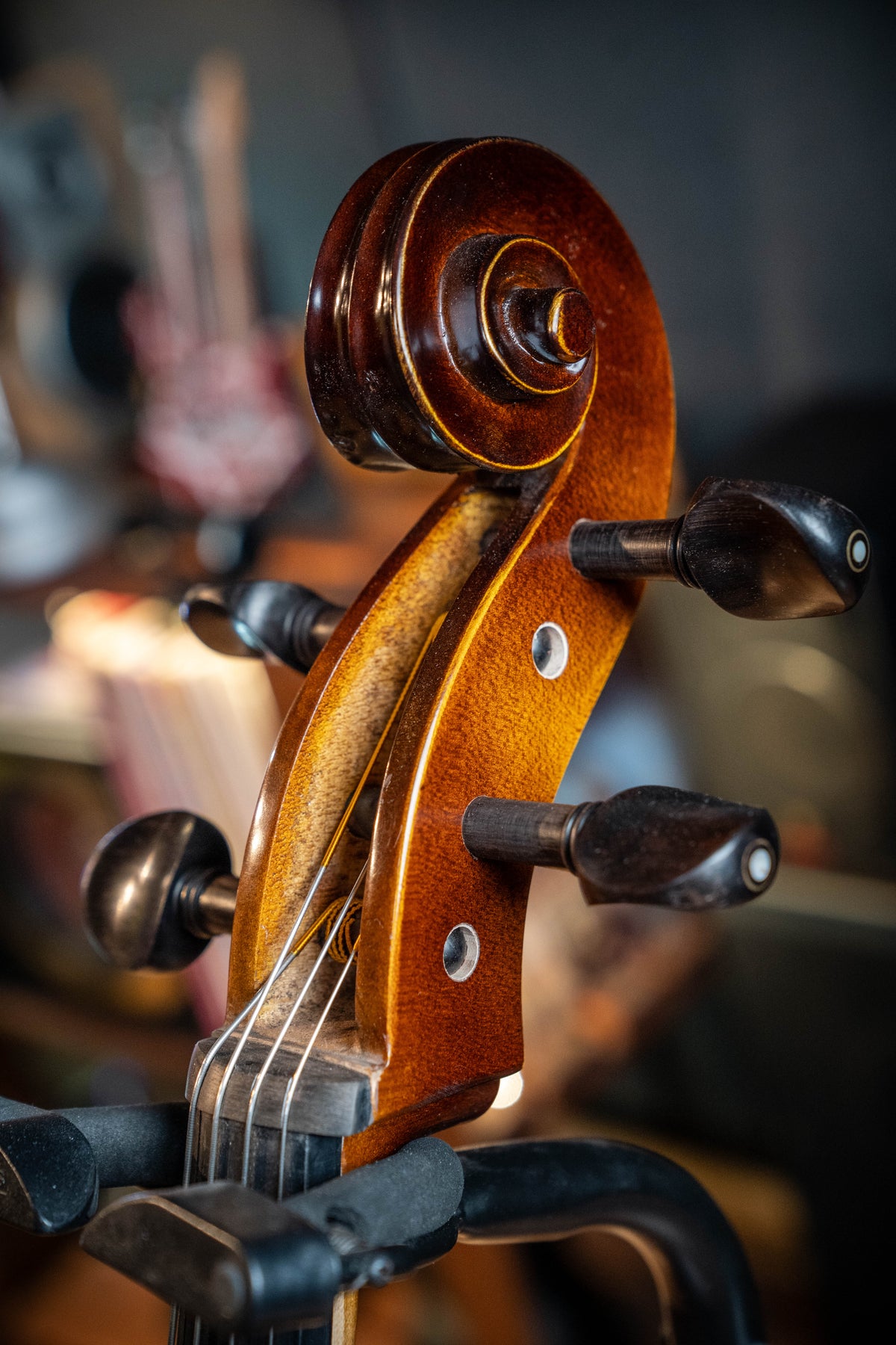 Kreisler #130 Beginner 4/4 Cello Outfit - Setup w/Larsen Aurora Strings