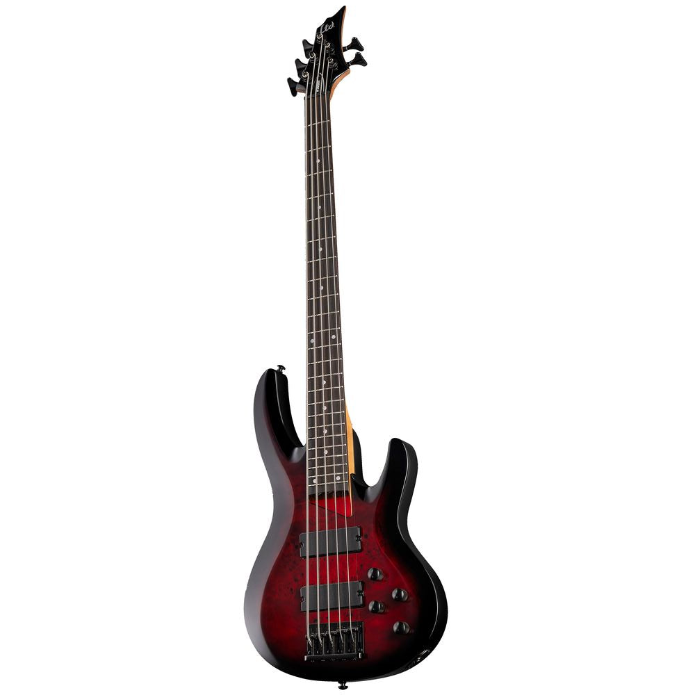 ESP LTD B205 DX - Red Burst