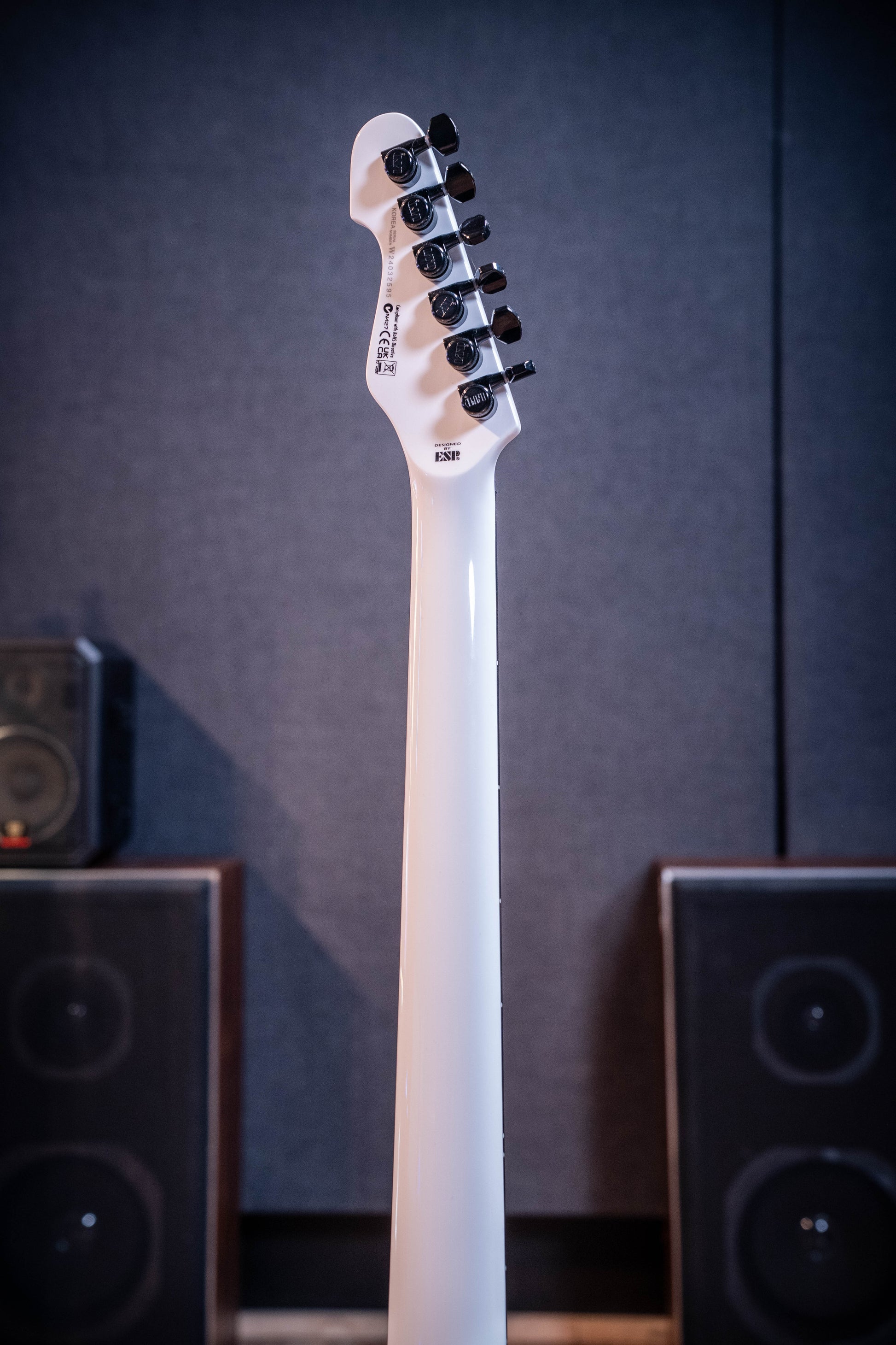 LTD TE-1000 Electric Guitar - Snow White - Pre-Owned