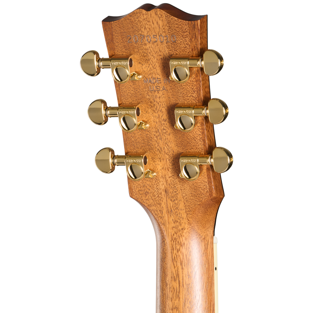 Gibson Parlor Rosewood EC - Rosewood Burst