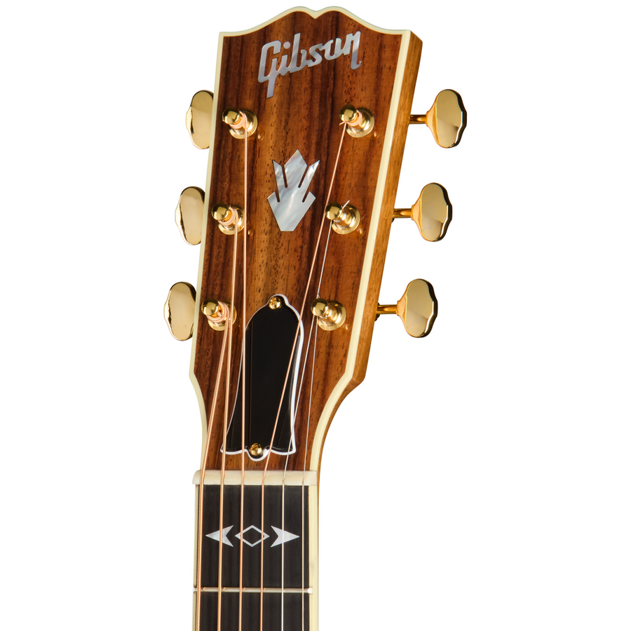 Gibson Songwriter Recording Artist EC - Rose Burst