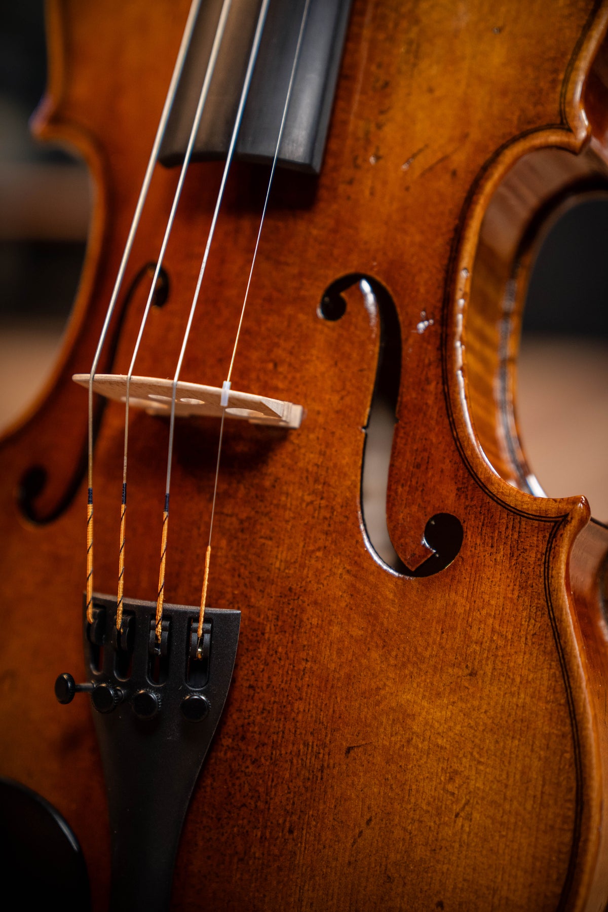 Nicolas Deroux VI05 4/4 Violin w/Larsen Tzigame Strings - Inc. Professional Setup (Instrument Only)