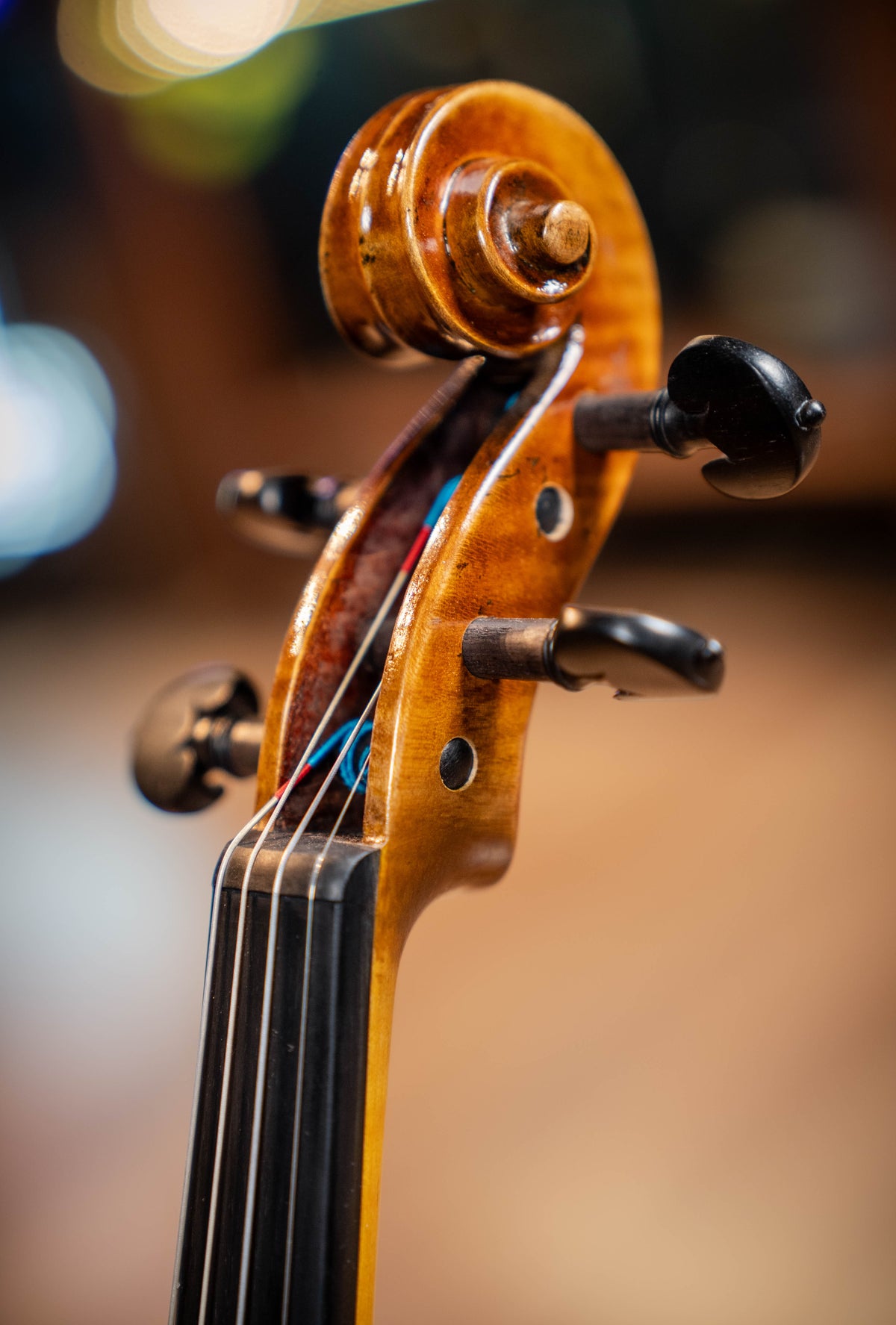 Nicolas Deroux VI05 4/4 Violin w/Larsen Tzigame Strings - Inc. Professional Setup (Instrument Only)